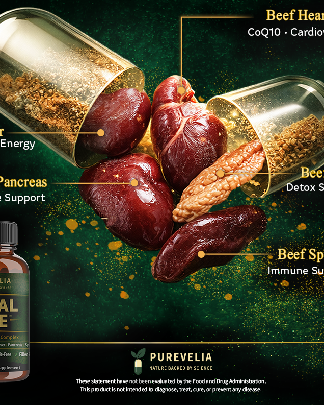 Primal Core™ – Grass-Fed Beef Organ Complex