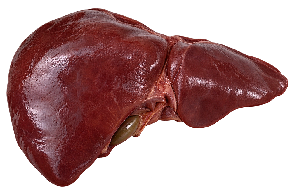 Beef Liver
