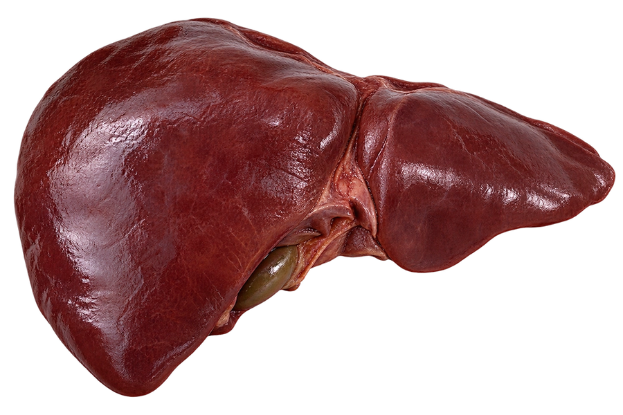 Beef Liver