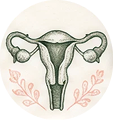 Uterus + Fallopian Tubes