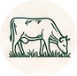 GRASS-FED & PASTURE-RAISED
